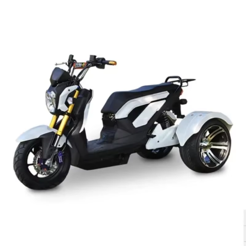 Tricycle électrique tout-terrain pour adultes