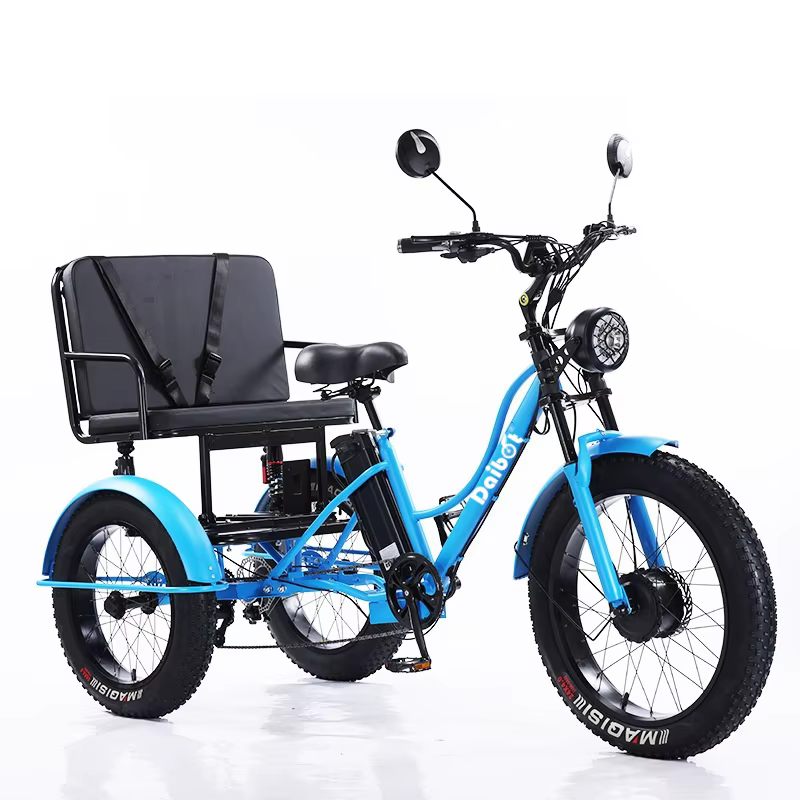 Nouveau Tricycle électrique à 3 roues vélo Cargo avec passagers personnes âgées adultes 2 places 750W puissant