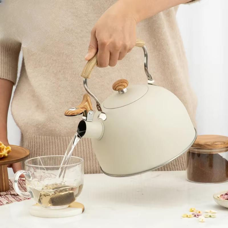 Bouilloire à sifflet en acier inoxydable, pour eau bouillante, théière de Camping, poignée pliante, théières pour faire bouillir l'eau, cuisinière à gaz