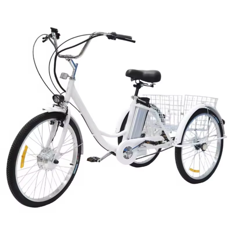 Vélo Cargo électrique pour adultes personnes âgées 350W 36V 12AH batterie au Lithium amovible
