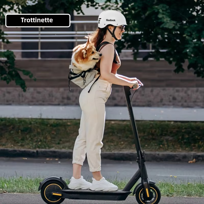 Casque de vélo pour adulte pour vélo
