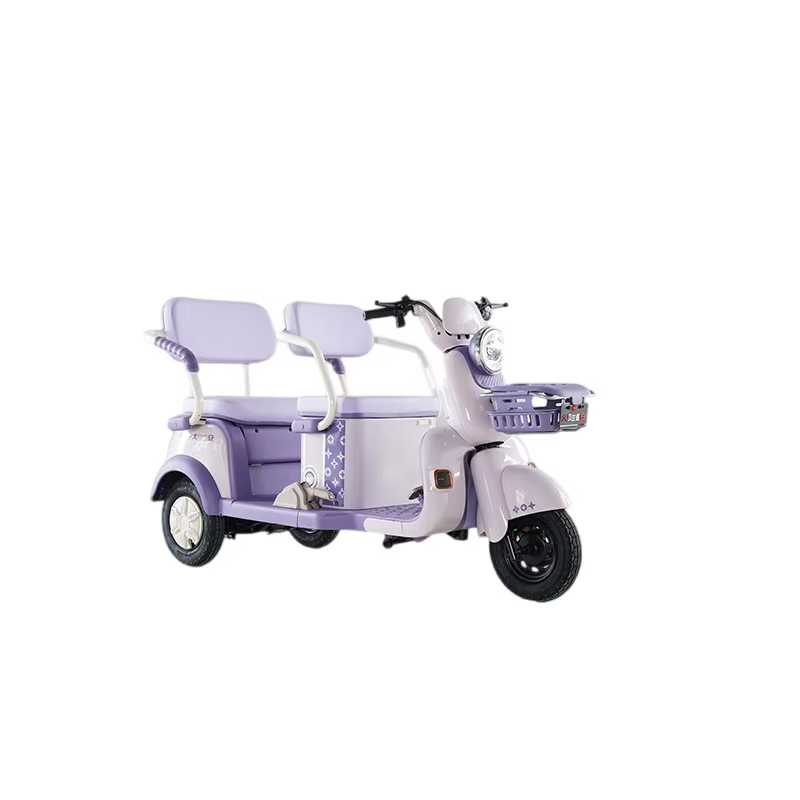 Tricycle électrique 60V