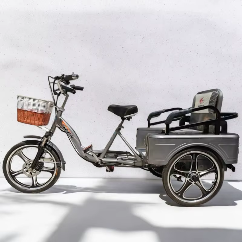 350W 48V nouveau Tricycle électrique à 3 roues vélo Cargo avec passagers pour personnes âgées famille Booster