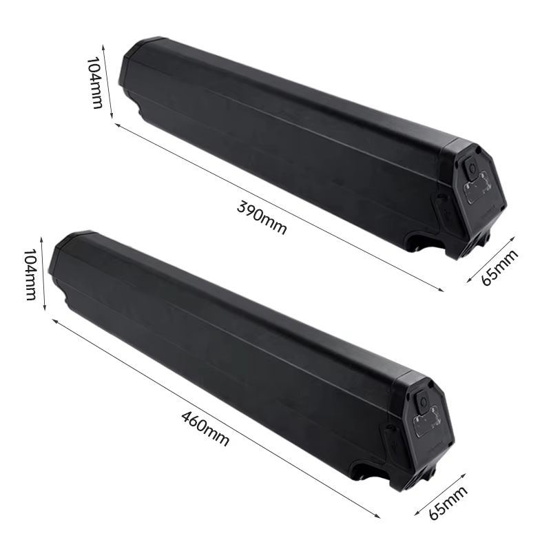 Dorado-Batterie pour vélo électrique
