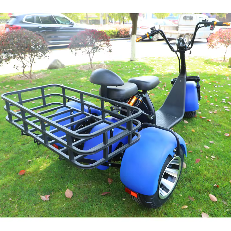 2000W moteur Tricycle électrique neige large pneu adulte déplacements loisirs mobilité Scooter siège confortable panier