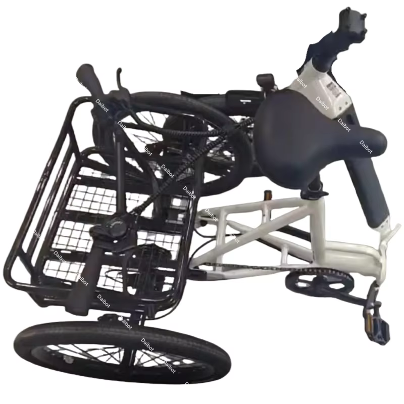 Puissant pliable léger 3 roues Cargo Tricycle électrique gros vélo pour adultes personnes âgées 500W hors route