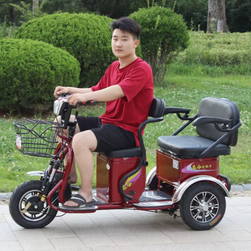 Mini Scooter électrique adulte 3 roues 48V 600W Tricycle