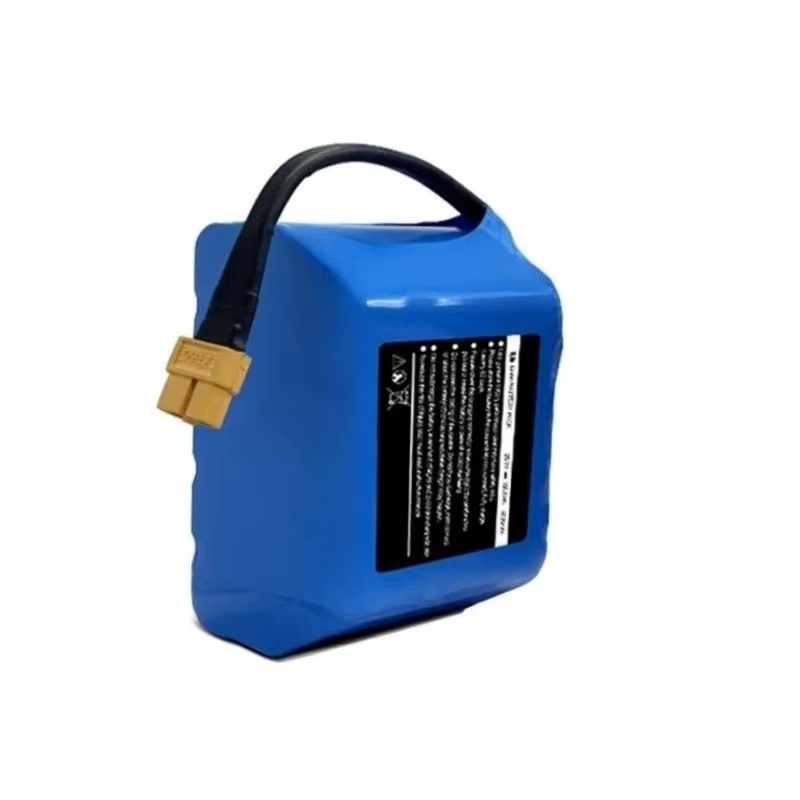 Batterie Li-ion rechargeable 6S2P 25