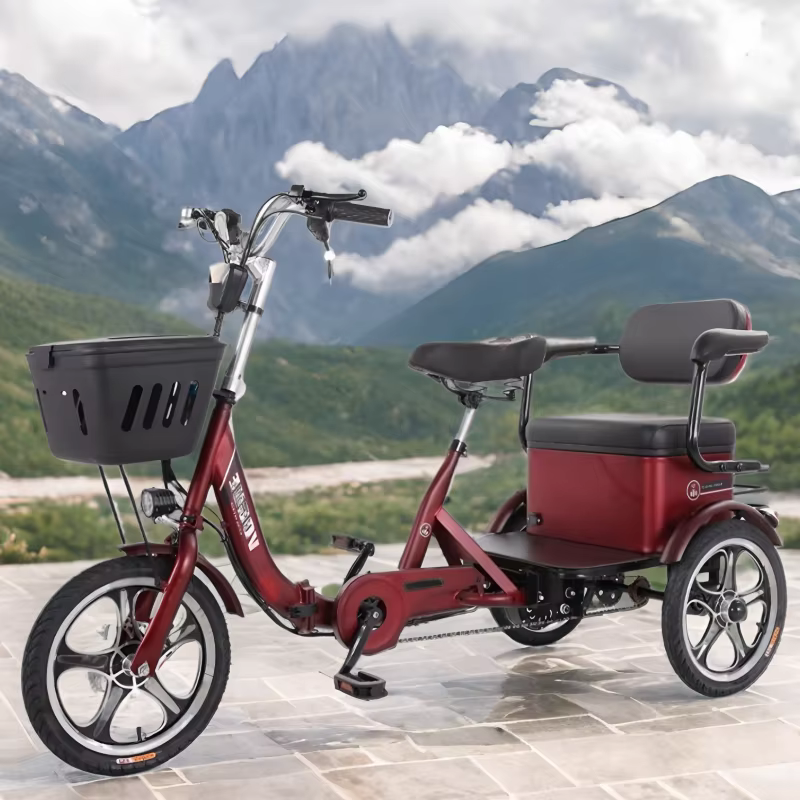 Tricycle électrique adulte pour passanger avec siège 48V 400W vélo de ville