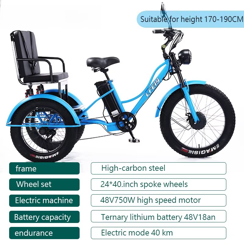 Tricycle électrique à pneus larges de 24 pouces